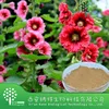 100% Natural Excellent quality Common Hollyhock powder/Hibiscus escul powder/Hibiscus escul extract