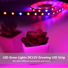 Led 成長ライト DC12V 成長 led ストリップ 5050 IP20 IP65 IP68 植物成長ライト温室水耕植物は成長ライト