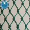 bird nets for catching birds/Square Grid Anti Bird Net for Agricultural Use(Guangzhou Factory)