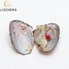 2018 jiecheng vacuum package multicolor pearl can oyster 6-7mm near round akoya pearl red oyster shell