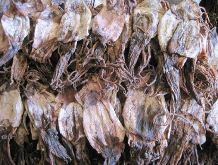dried squid