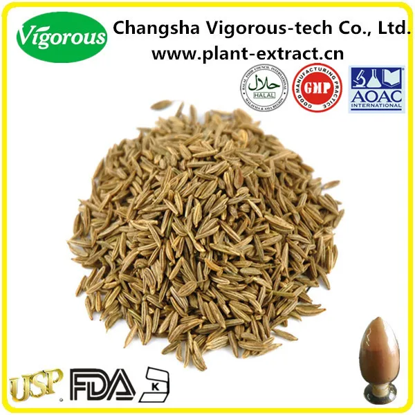 Natural Caraway Extrac Carum Carvi Powder High Quality Caraway Extract ...