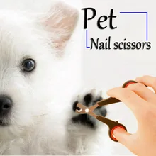 2Pcs Pet Nail Claw Grooming Scissors Clippers For Dog Cat Bird Gerbil Rabbit Ferret Small Animals Newest Hot Search