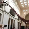 Outdoor exhibit new-style long neck dinosaur skeleton model
