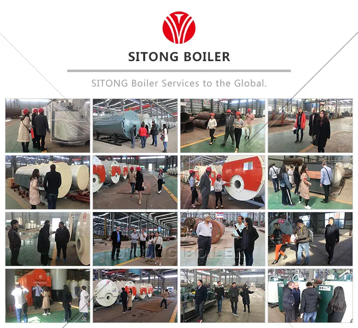 customer visiting of With Operation Manual Industrial Coal Fired Steam Hand Boiler