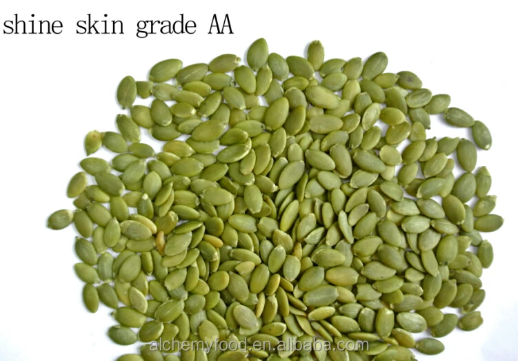 Pumpkin Seed.jpg