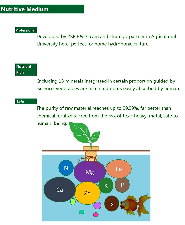 indoor plant growing systems for best vegetables