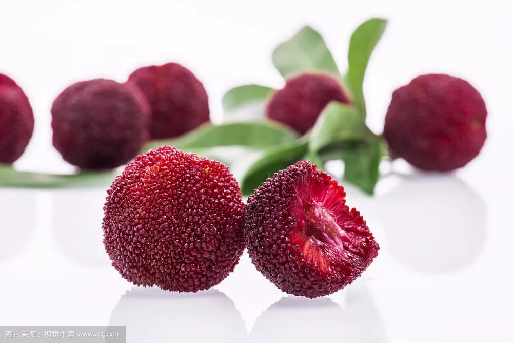 chinese canned fresh waxberry in syrup