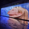 Full Color Flexible Transparent Led Display Screen, 500*1000mm Panel See-Through Mesh LED Indoor Glass display