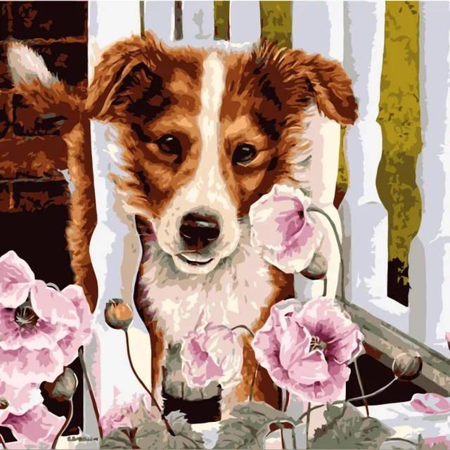 paintboy 40*50 animal dog painting by numbers wall pictures for