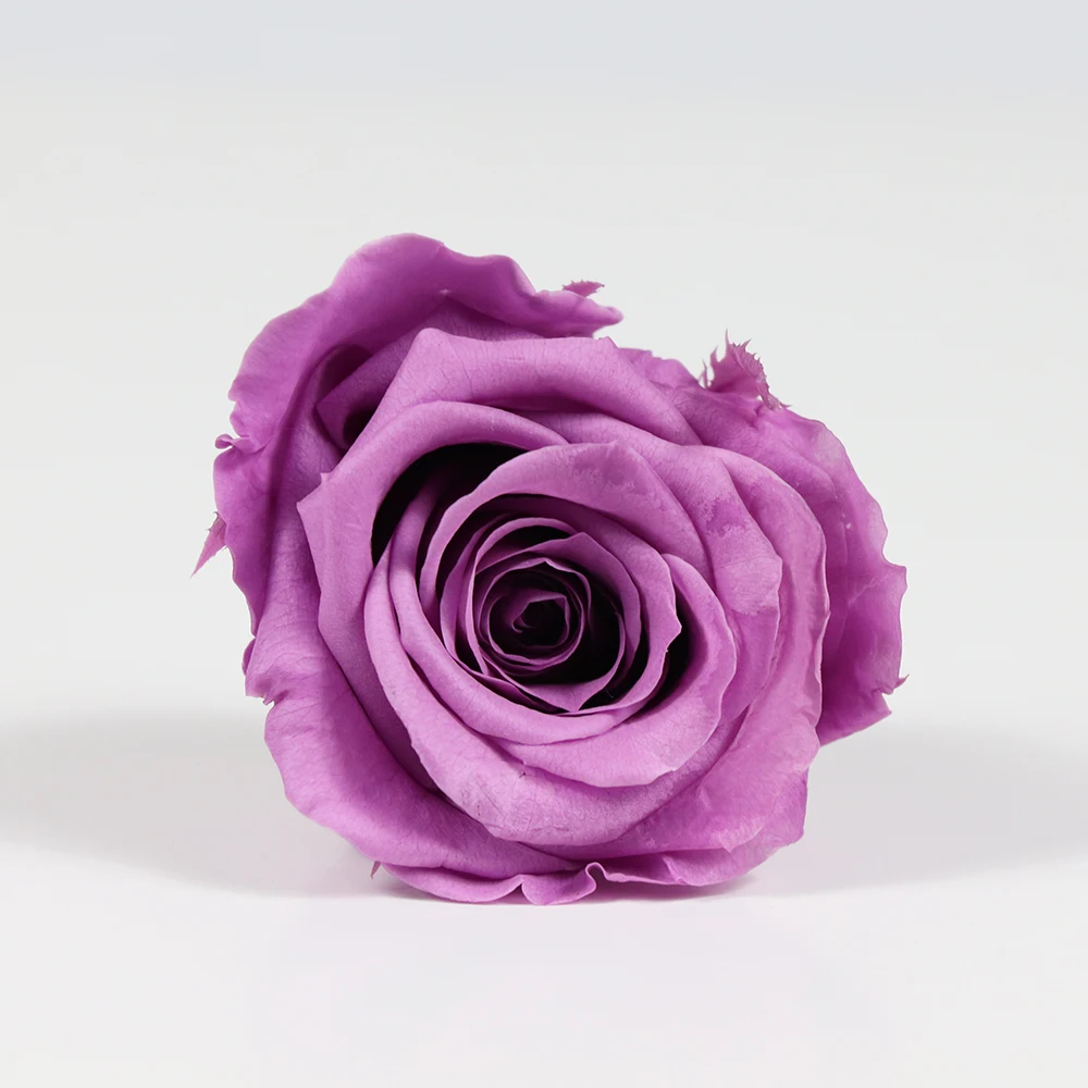 Freeze Dried Roses 45cm Flower Head Preserved Roses From Kunming Buy