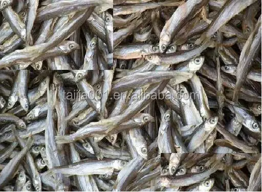 
good quality fish meal low price,origin china 