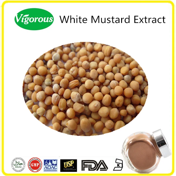 Free Sample 100 Natural Mustard Seed Extract Powder Buy Mustard Seed,Mustard Powder,Mustard
