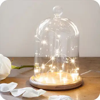 In A Bottle Starry String Clear Fairy Lights In A Vase Amber