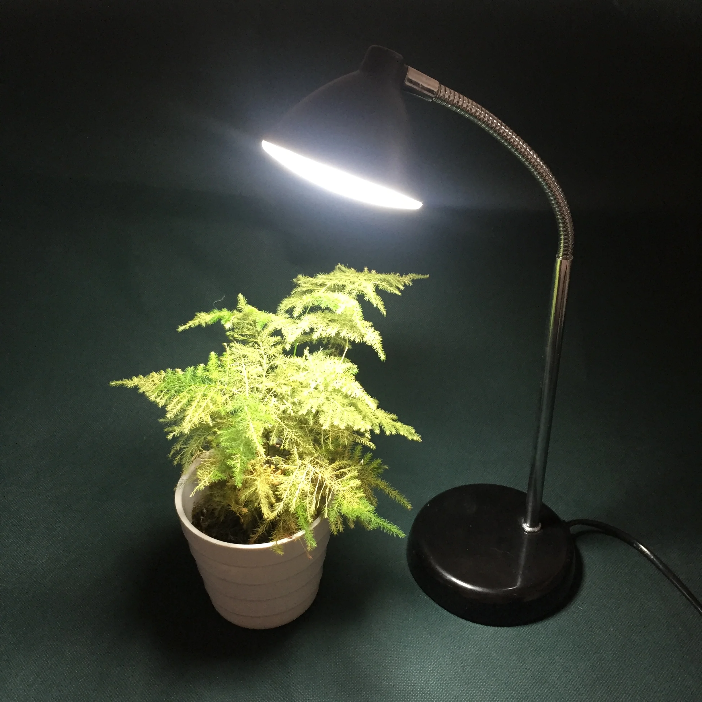 
switch control two mode led grow lighting, led table lamp 
