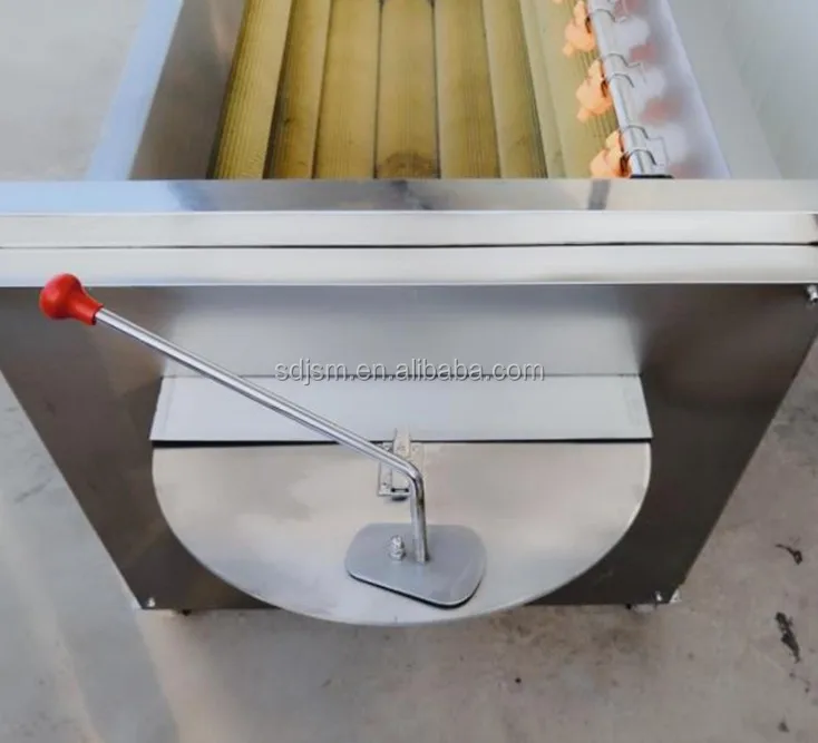 vegetable cleaning machine.JPG