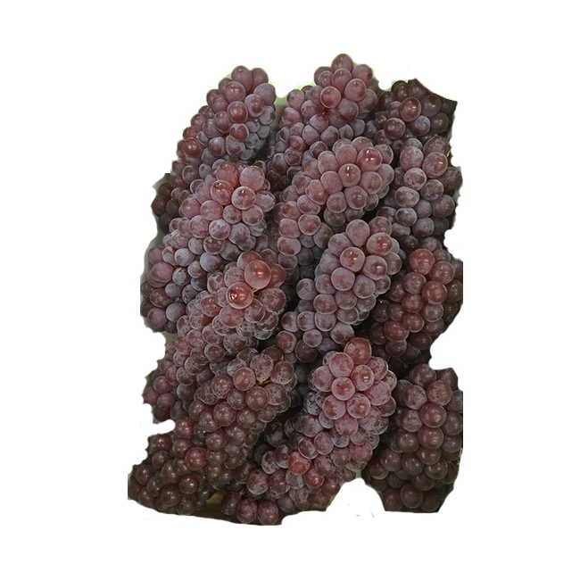 Bulk Japanese Kyoho Shine Muscat Fresh Grapes For Sale Buy Muscat Grapes For Sale Fresh Grapes Kyoho Grapes Product On Alibaba Com