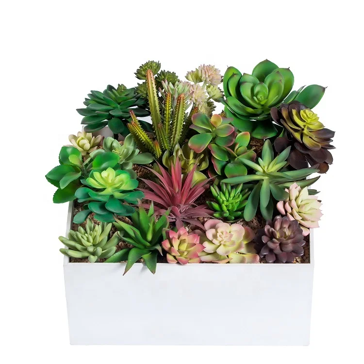 

cheap wholesale decorative mini cactus assortment outdoor indoor hanging arrangement artificial plants succulent for sale