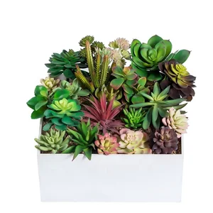 Image of cheap wholesale decorative mini cactus assortment outdoor indoor hanging arrangement artificial plants succulent for sale
