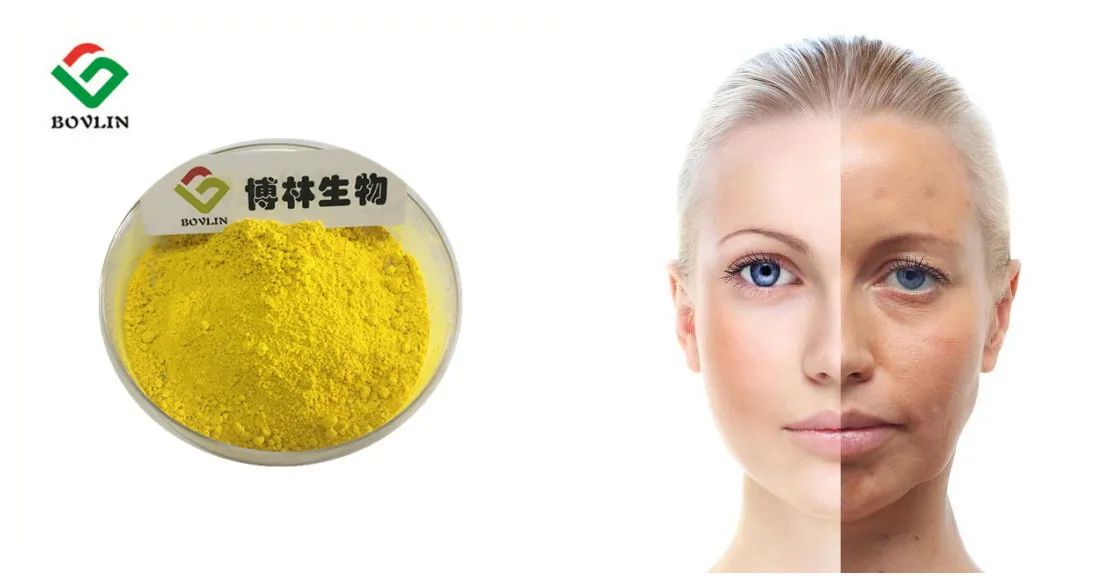 coenzyme q10 (3).jpg