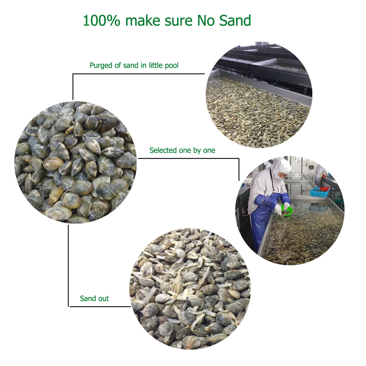 sand out.jpg