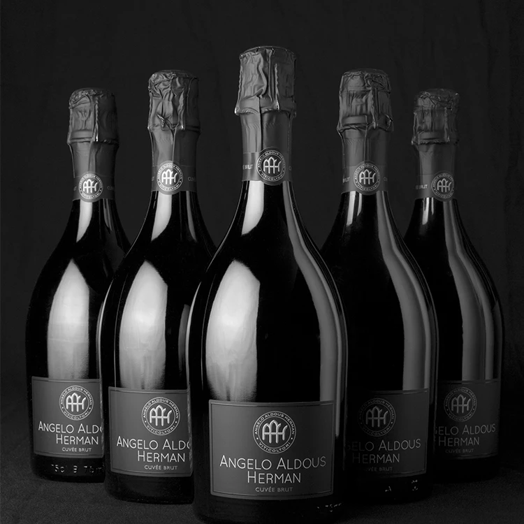 Premium Quality Italian 750 ml 12.5% Alcohol Glass Bottle Wine for Sale