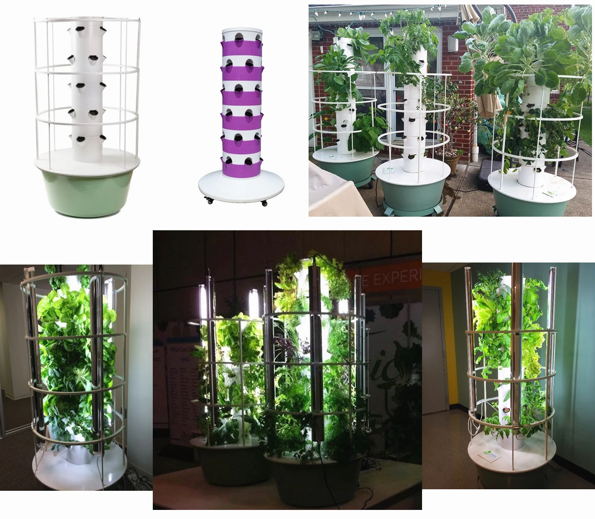 Aquaponics system buy Home hacks