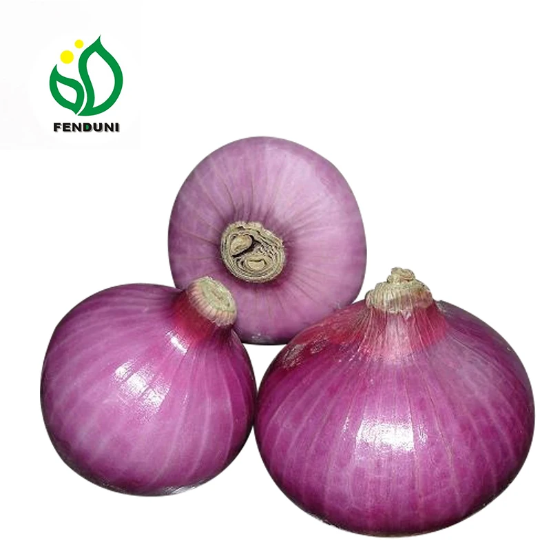 
Fresh Red Onion 