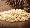 Pine nut