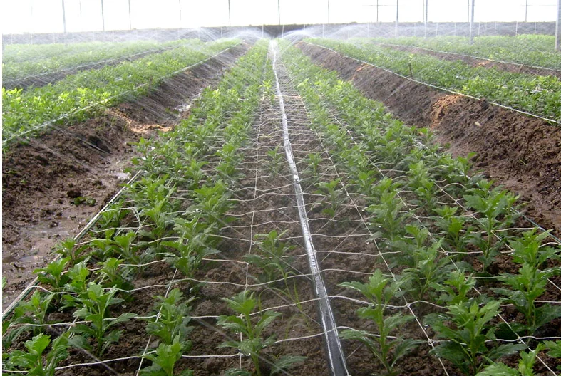 农业滴灌灌溉带种植绿色自动滴灌使用喷雾胶带雨带