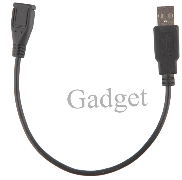 Endoscope.6.jpg
