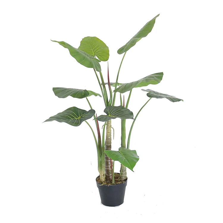 1.0m Alocasia Macrorrhiza Small Fake Plants In Pot Buy Small Fake