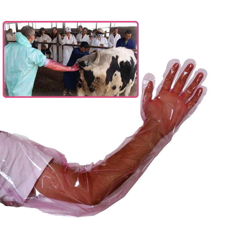 

Disposable Long Arm Veterinary Examination insemination Glove Prevent Infection Long Veterinary Glove