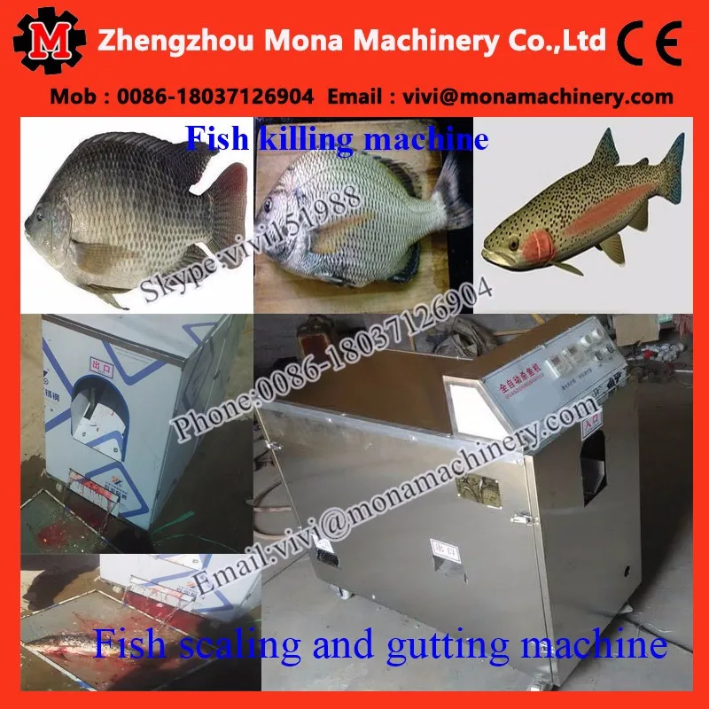 Fish Tools/fishing Cutting Machine Fish Gutting Machine/ Kill Small