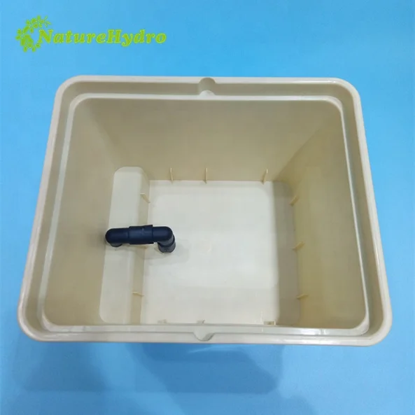 
Nutrient solution hydroponics plant eggplants 