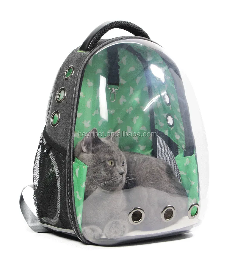 cat globe backpack