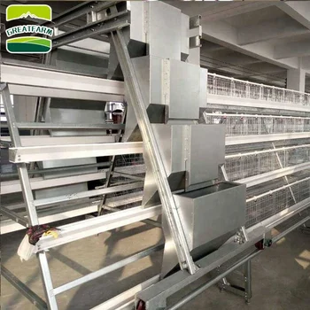 A Types Of Layer Chicken Cages For Zimbabwe Poultry Farms Poultry Battery Cages For Sale Buy Used Poultry Battery Cages For Saletypes Of Layer