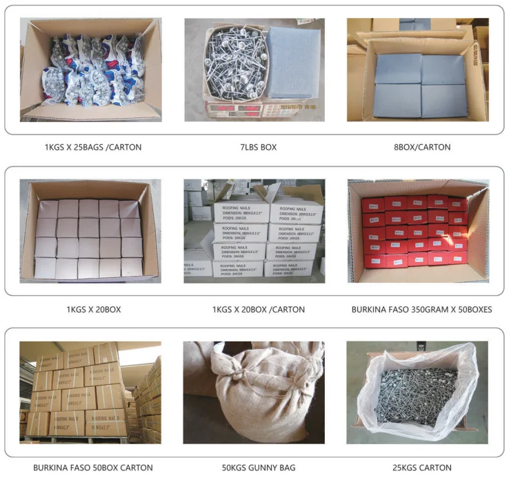 Imbr Roofing Nails Ibr Nail Twisted Shank Galvanized Finished Assembled