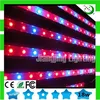 high par value rigid led stripe horticulture induction lamps full spectrum LED grow bar light