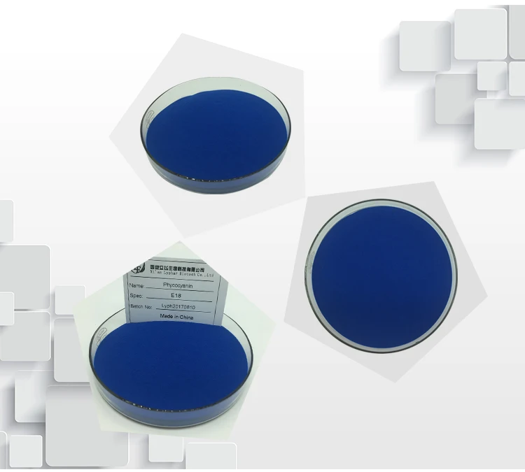 100% Natural Color Health Ingredients Phycocyanin Powder