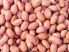 Ground peanuts from shandong junan peanut factory