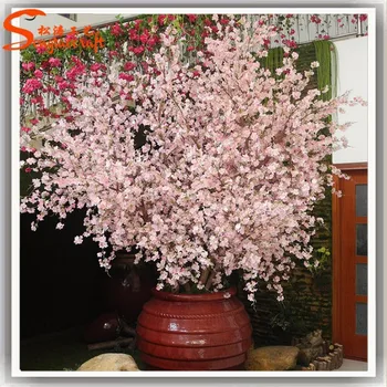 Factory Wholesale Cherry Blossom Bonsai Tree Decorate The Living Room Cherry Tree Types Garden Fake Cherry Blossom Tree Branches Buy Fake Cherry Blossom Tree Branches Cherry Tree Types Cherry Blossom Bonsai Tree Product
