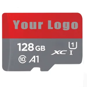 SD Memory Card Data Storage