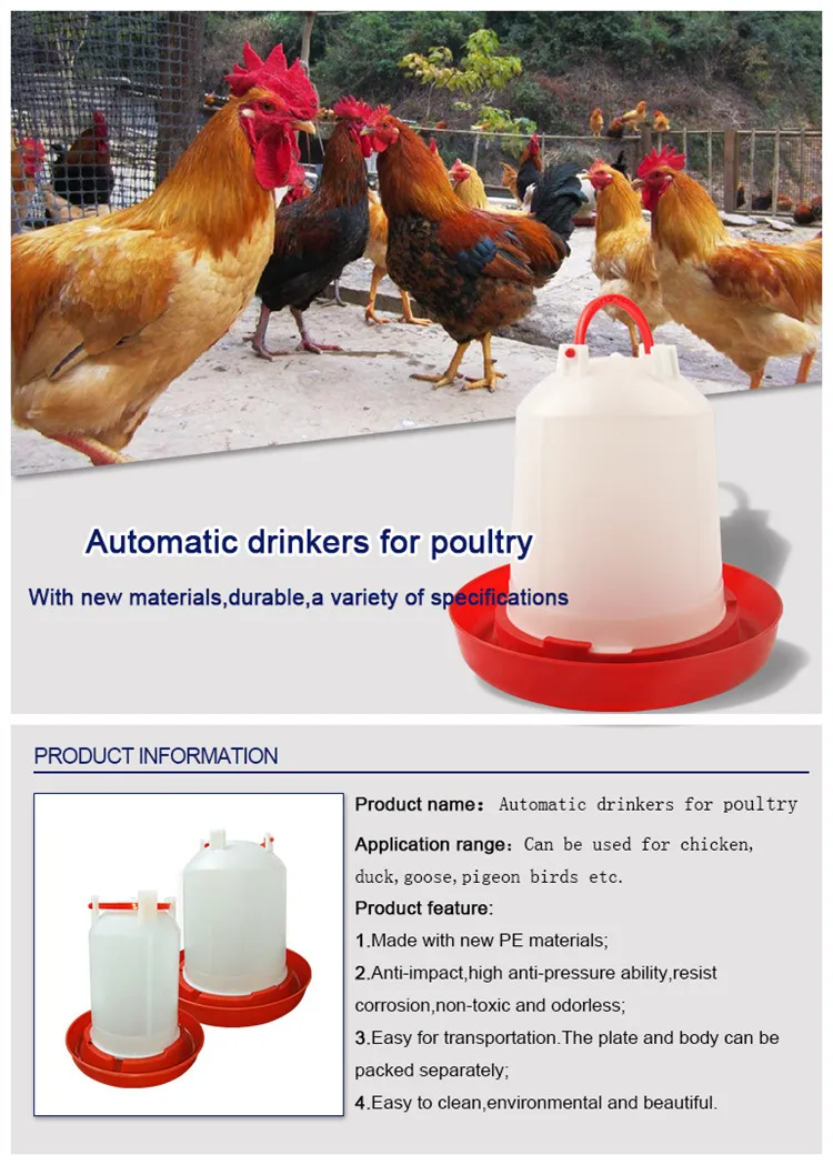 Poultry Feeding System Pp Material Chicken Drinkers And Feeders