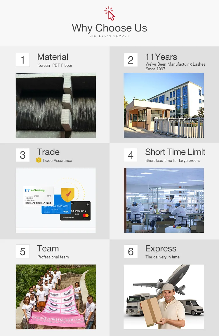 6D 0.07 0.10mm Premade Fans Volume Eyelash Extension Silk Lashes