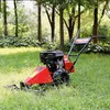 China supply reed grass mower/easy operate and maintain gasoline grass cutter