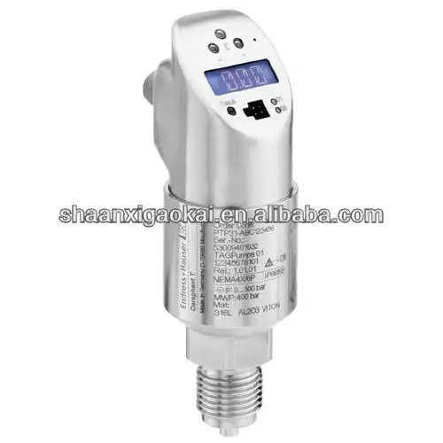 Hot sales E+H Pressure switch for safe measurement and monitoring of absolute and gauge pressures