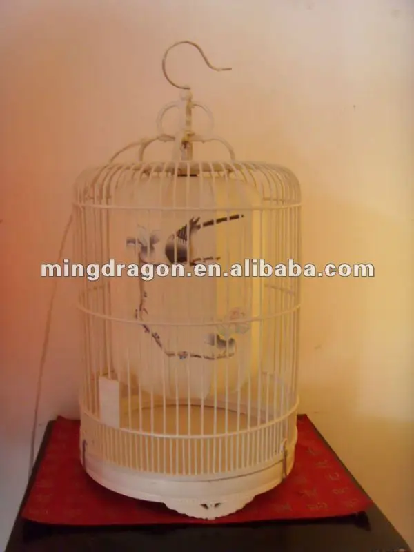 SDC12136.JPG