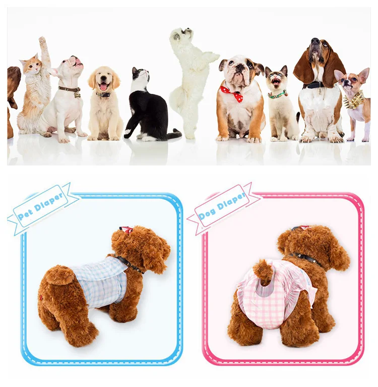 High Quality Disposable Pet Diaper Manufacturer, Pet Dog diaper