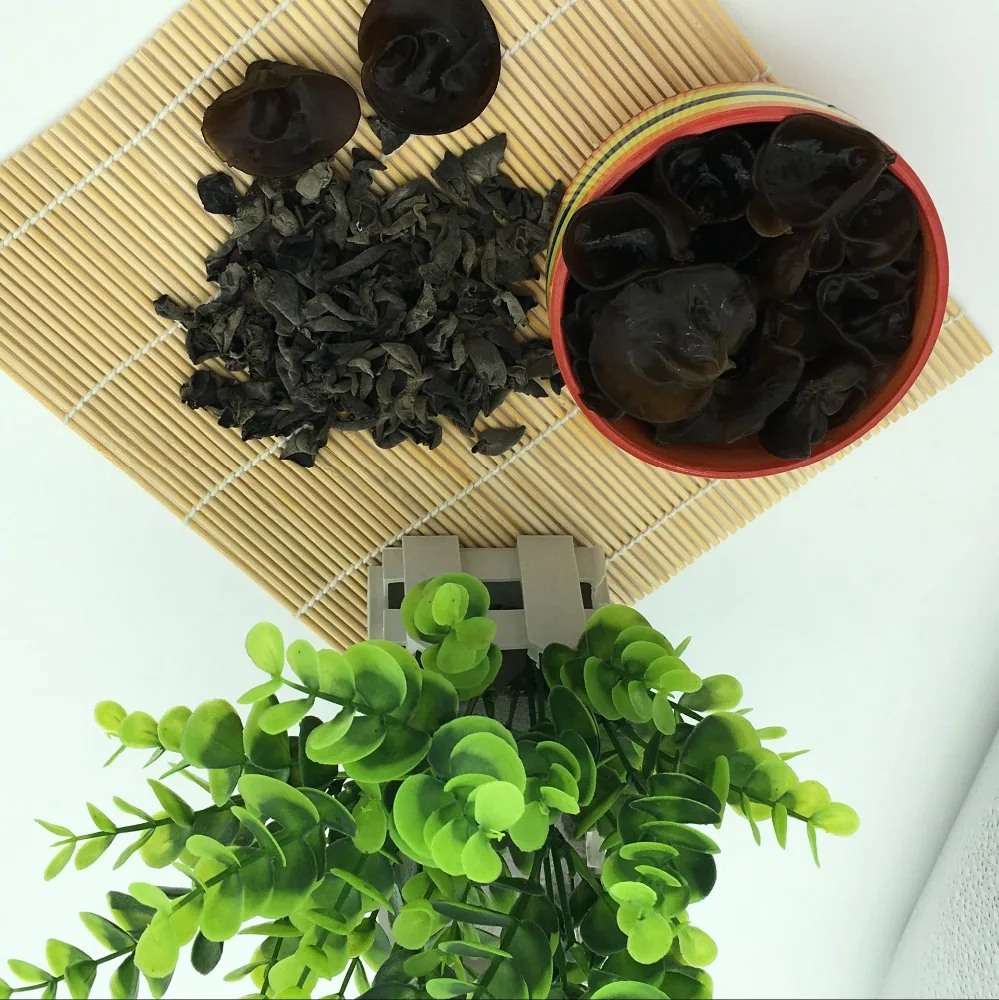 
Herb medicine dry fungus or wood ear 